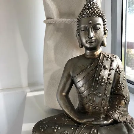 Studio Mandelieu Mandelieu