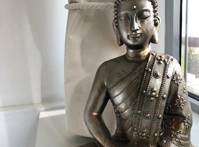 Studio Mandelieu 망들리유 라 나플